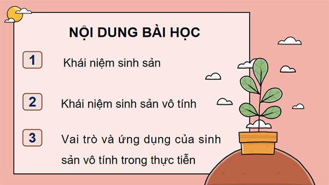 Giáo án PowerPoint Khoa học tự nhiên 7 Bài 32 Cánh diều