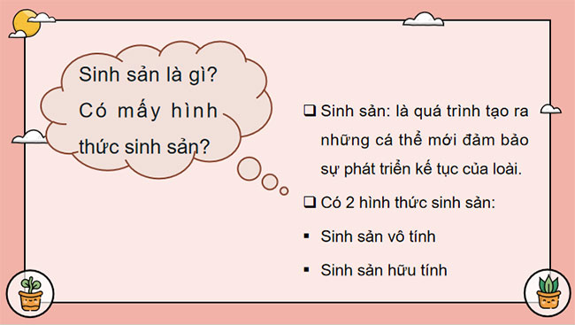 Giáo án PowerPoint Khoa học tự nhiên 7 Bài 32 Cánh diều