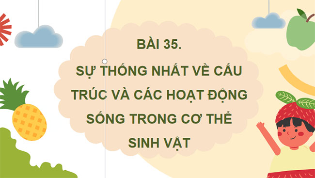 Giáo án PowerPoint Khoa học tự nhiên 7 Bài 35 Cánh diều