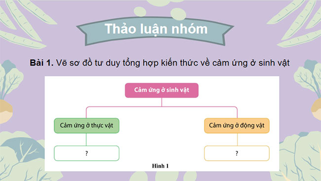 Giáo án PowerPoint Khoa học tự nhiên 7 Bài tập Chủ đề 9, 10, 11, 12 Cánh diều