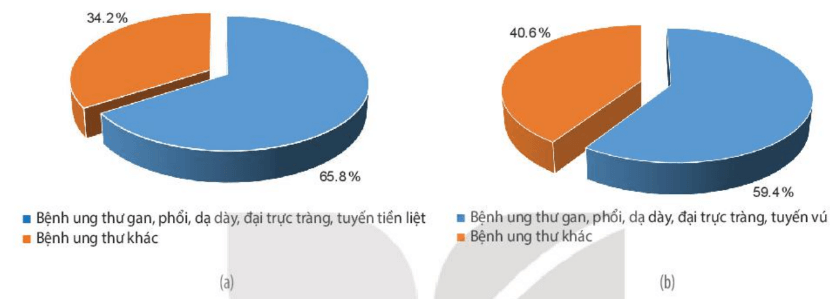 Lý thuyết Sinh 10 Kết nối tri thức Bài 16: Chu kì tế bào và nguyên phân