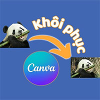 Cách khôi phục các dự án đã xóa trên Canva