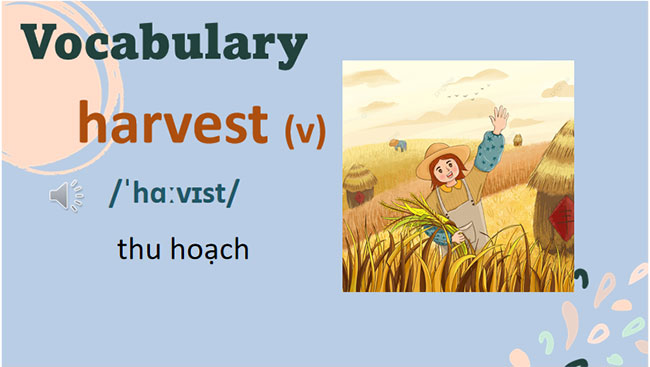 Giáo án Tiếng Anh 8 Unit 2: Getting Started