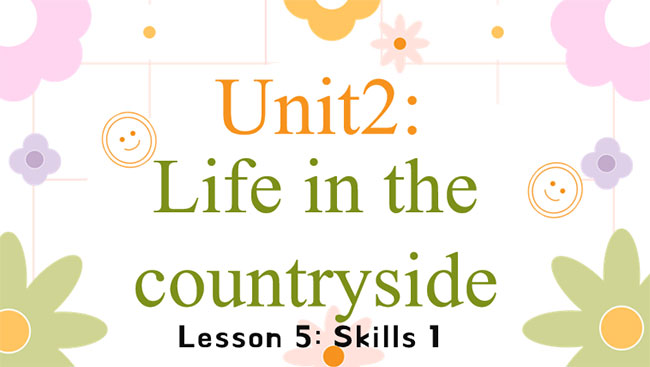 Giáo án Tiếng Anh 8 Unit 2: Skills 1