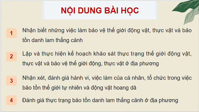 Thể hiện sự trưởng thành của bản thân