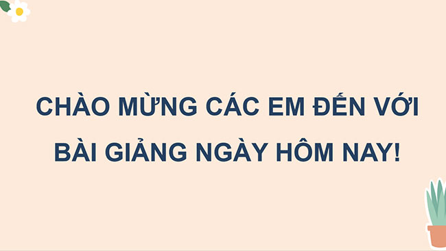 Hoạt động trải nghiệm 5 CTST - Học kì 1