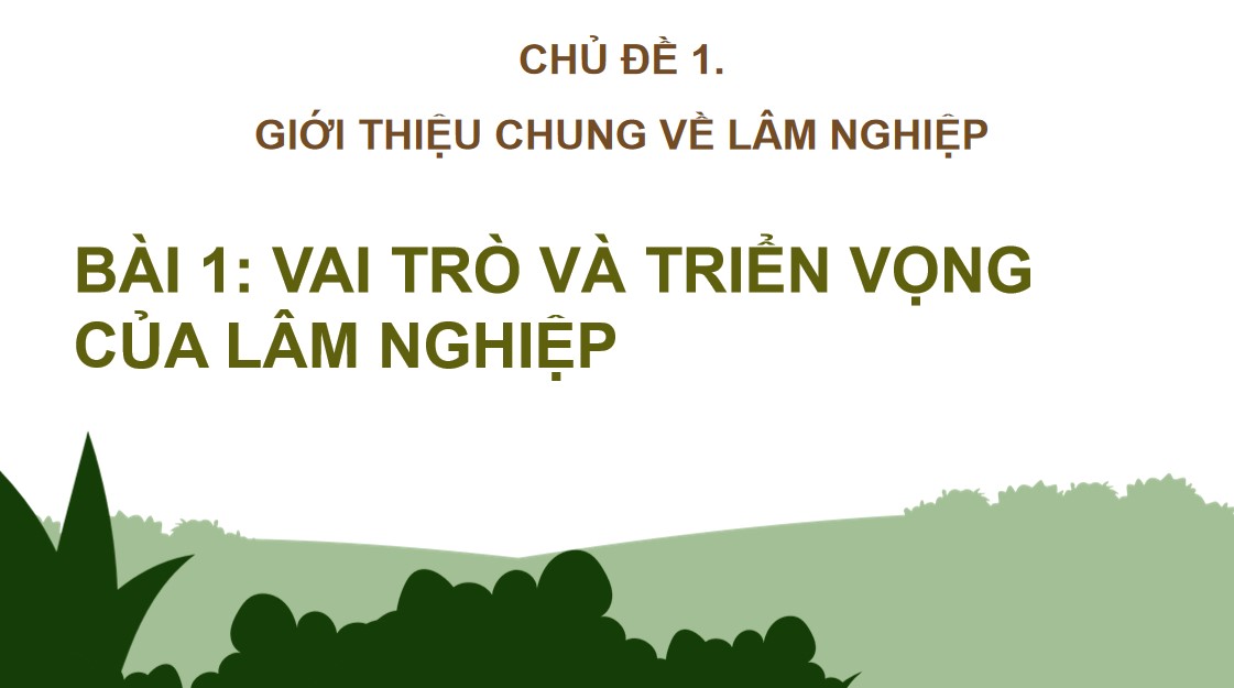 PowerPoint Công nghệ 12 Kết nối tri thức Bài Vai trò và triển vọng của lâm nghiệp