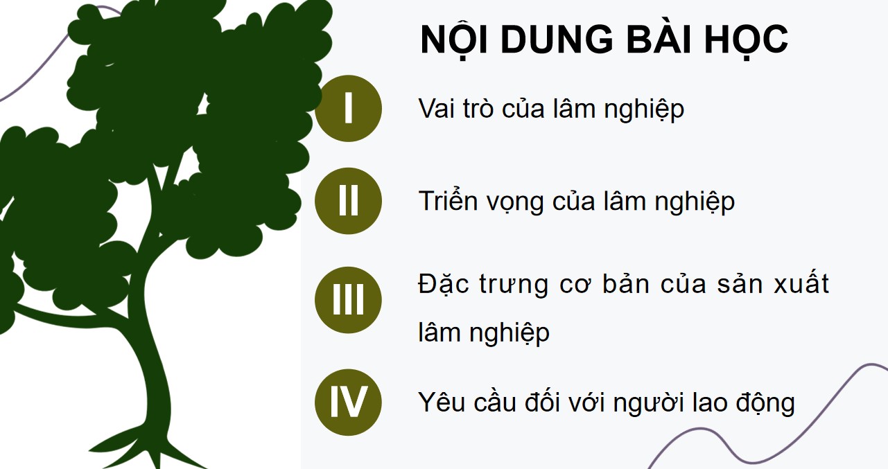 PowerPoint Công nghệ 12 Kết nối tri thức Bài Vai trò và triển vọng của lâm nghiệp