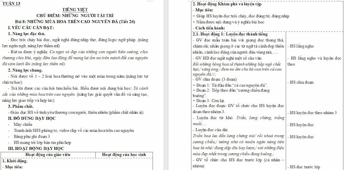 Giáo án Tiếng Việt 4 Những mùa hoa trên cao nguyên đá