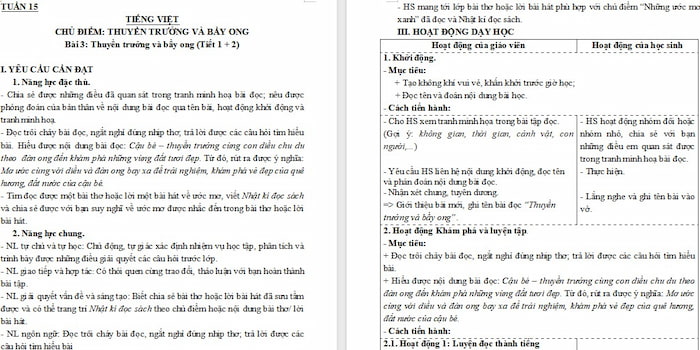 Giáo án Tiếng Việt 4 Thuyền trưởng và bầy ong