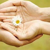 Giáo án Hoạt động trải nghiệm 8 Chủ đề 6 Bài 1: Tham gia các hoạt động giáo dục truyền thống và phát triển cộng đồng ở địa phương