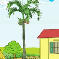 Giáo án Tiếng Việt 4 Bài 3: Cau