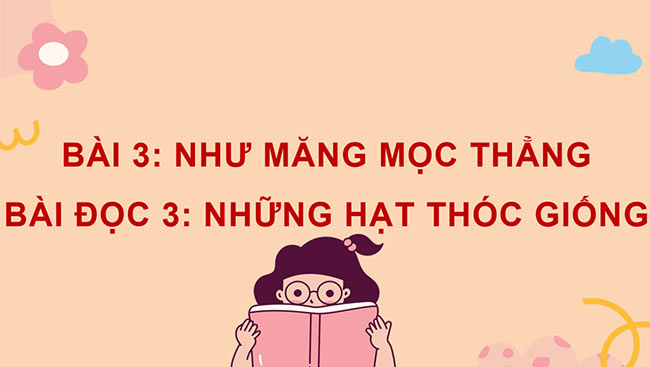 PowerPoint Tiếng Việt 4 Những hạt thóc giống