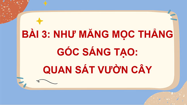 PowerPoint Tiếng Việt 4 Quan sát vườn cây