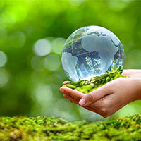 Giáo án Lịch sử - Địa lí 5 Bài 23: Xây dựng thế giới xanh - sạch - đẹp