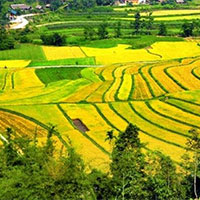 Giáo án Ngữ văn 8 Bài 2: Nếu mai em về Chiêm Hóa  