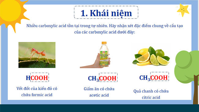 Giáo án Hóa học 11 Bài 24: Carboxylic acid