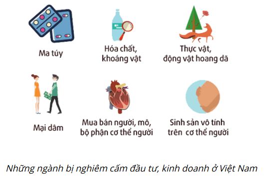 Bài 8: Quyền và nghĩa vụ của công dân về kinh doanh và nộp thuế