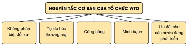 Bài 16: Một số nguyên tắc cơ bản của Tổ chức Thương mại Thế giới và hợp đồng thương mại quốc tế