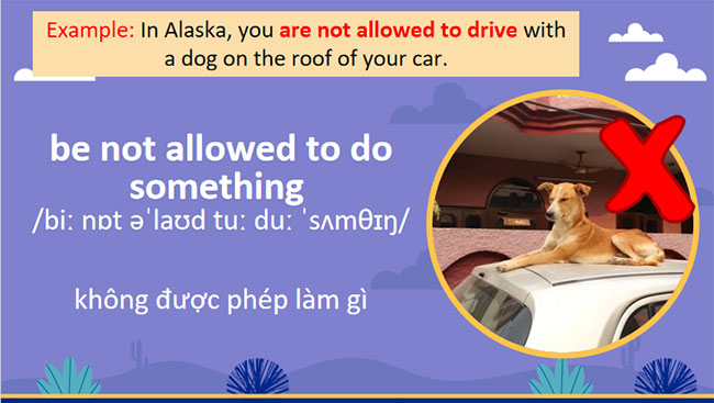 Tiếng Anh 7 Unit 7: Communication