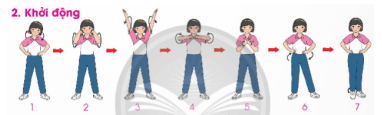 GDTC5 CTST