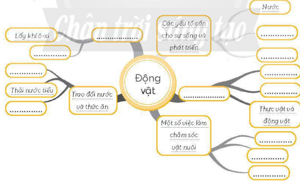 Vở bài tập Khoa học lớp 4 Chân trời sáng tạo Bài 18: Ôn tập chủ đề thực vật và động vật