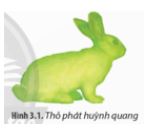 Bài 3: Công nghệ gene và thành tựu