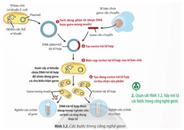 Bài 3: Công nghệ gene và thành tựu
