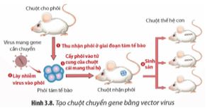 Bài 3: Công nghệ gene và thành tựu