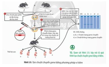 Bài 3: Công nghệ gene và thành tựu