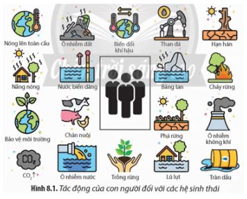 Bài 8: Khái niệm và giá trị của sinh thái nhân văn