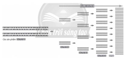 Ôn tập chuyên đề 1