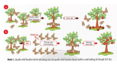 Ôn tập chuyên đề 2