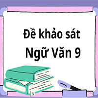 Đề thi khảo sát Ngữ Văn 9 trường THCS Đống Đa, Hà Nội 