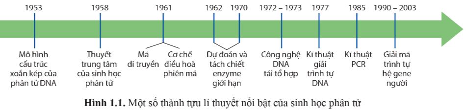Bài 1: Thành tựu và nguyên tắc ứng dụng của sinh học phân tử