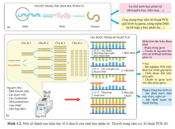 Bài 1: Thành tựu và nguyên tắc ứng dụng của sinh học phân tử
