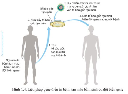 Bài 1: Thành tựu và nguyên tắc ứng dụng của sinh học phân tử