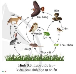 Bài 5: Khái niệm và vai trò của kiểm soát sinh học