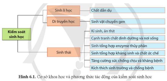 Bài 6: Cơ sở của kiểm soát sinh học