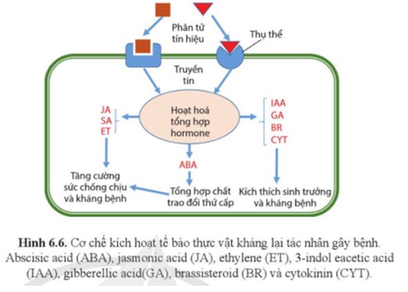 Bài 6: Cơ sở của kiểm soát sinh học