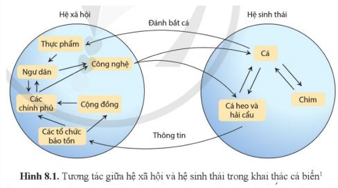 Bài 8: Sinh thái nhân văn và phát triển bền vững