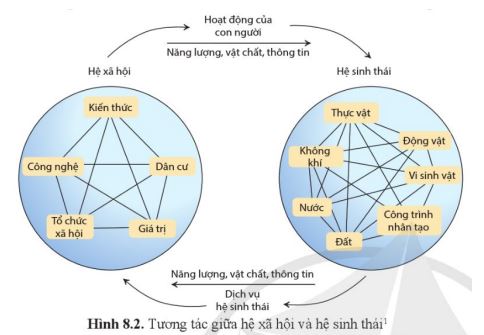 Bài 8: Sinh thái nhân văn và phát triển bền vững