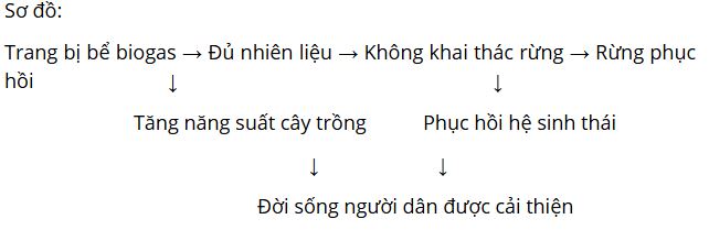 Ôn tập chuyên đề 3