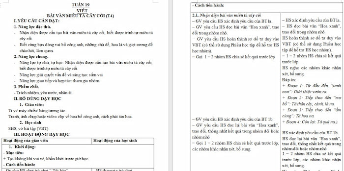 Giáo án Tiếng Việt 4 Nhận diện bài văn miêu tả cây cối