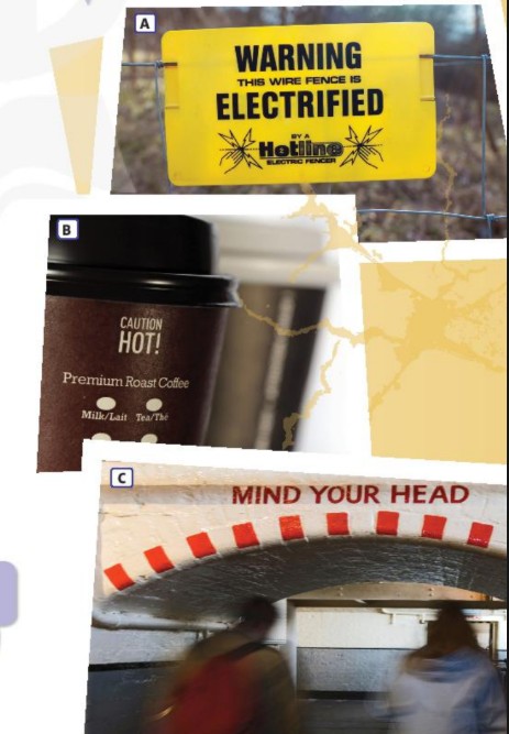 Tiếng Anh 10 unit 1 1F. Reading