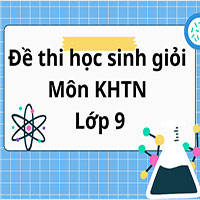 Đề thi học sinh giỏi môn KHTN lớp 9 TP HCM năm 2025
