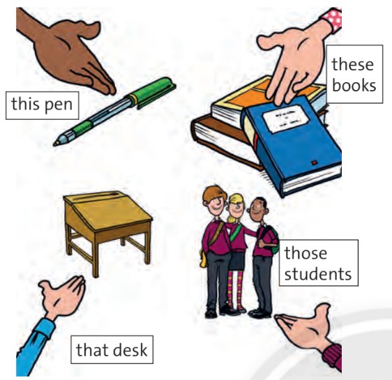 Language focus Starter Unit tiếng Anh 6 Friends Plus trang 11