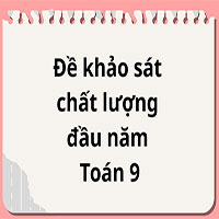 Đề khảo sát chất lượng đầu năm Toán 9 Trường THCS Xuân Đỉnh năm 2024-2025