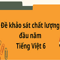 Đề thi tuyển sinh lớp 6 môn Tiếng Việt trường THCS Cầu Giấy 2025-2026