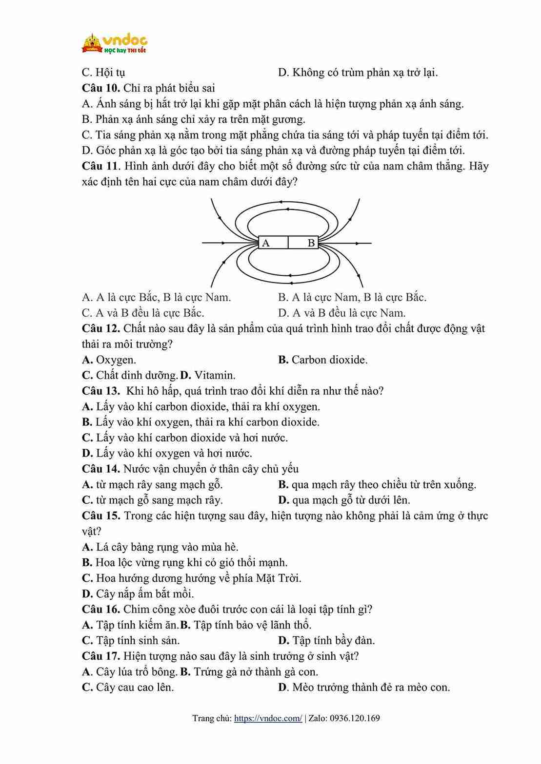 de khao sat chat luong dau nam khoa hoc tu nhien 8 hinh anh 1 1*57327